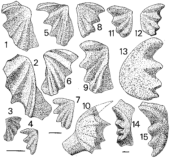 ols_martin-et-al1