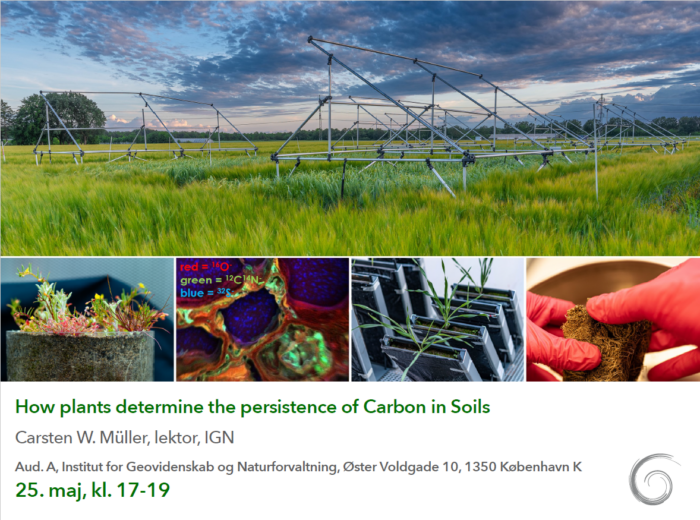 The environmental fate of plastics + How plants determine the